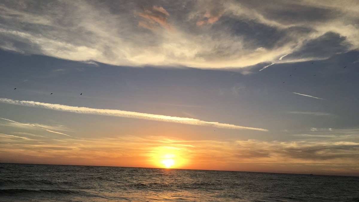 Whitney Beach Condo | Beach Front Condo on Gulf of Mexico