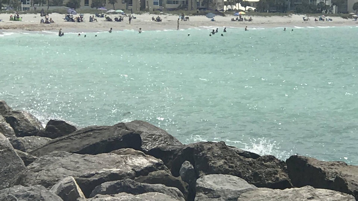 Venice Condo | Beach Front Condo, Venice, Florida. 2 bedroom, 2 bath, heated pool.