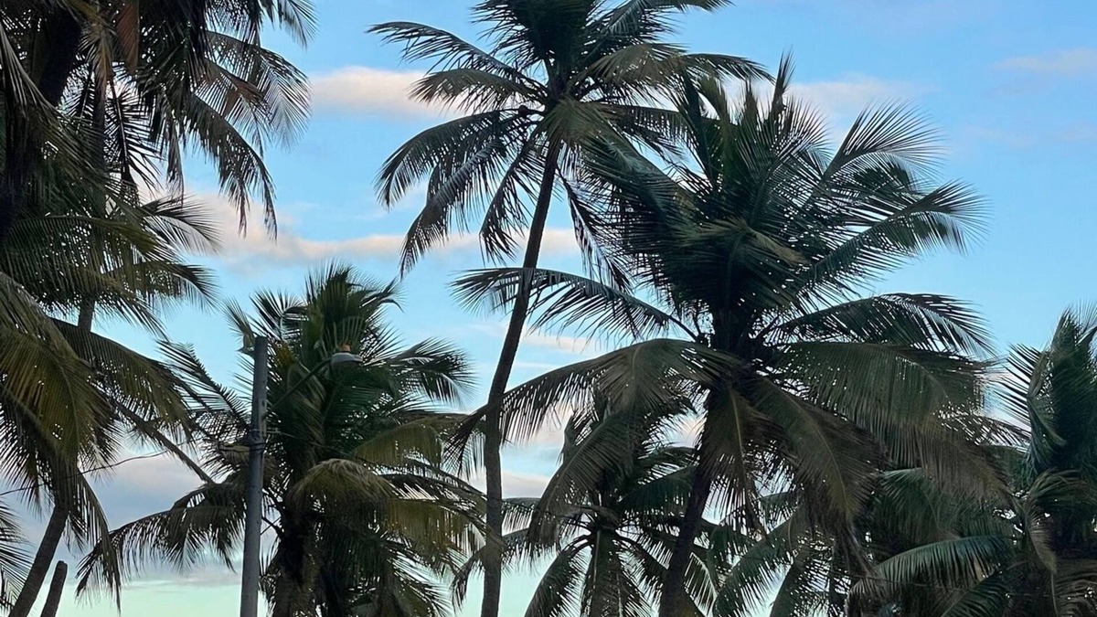 La Pared Condo | Beach front condo with amazing ocean view & beach access. Walk to plaza