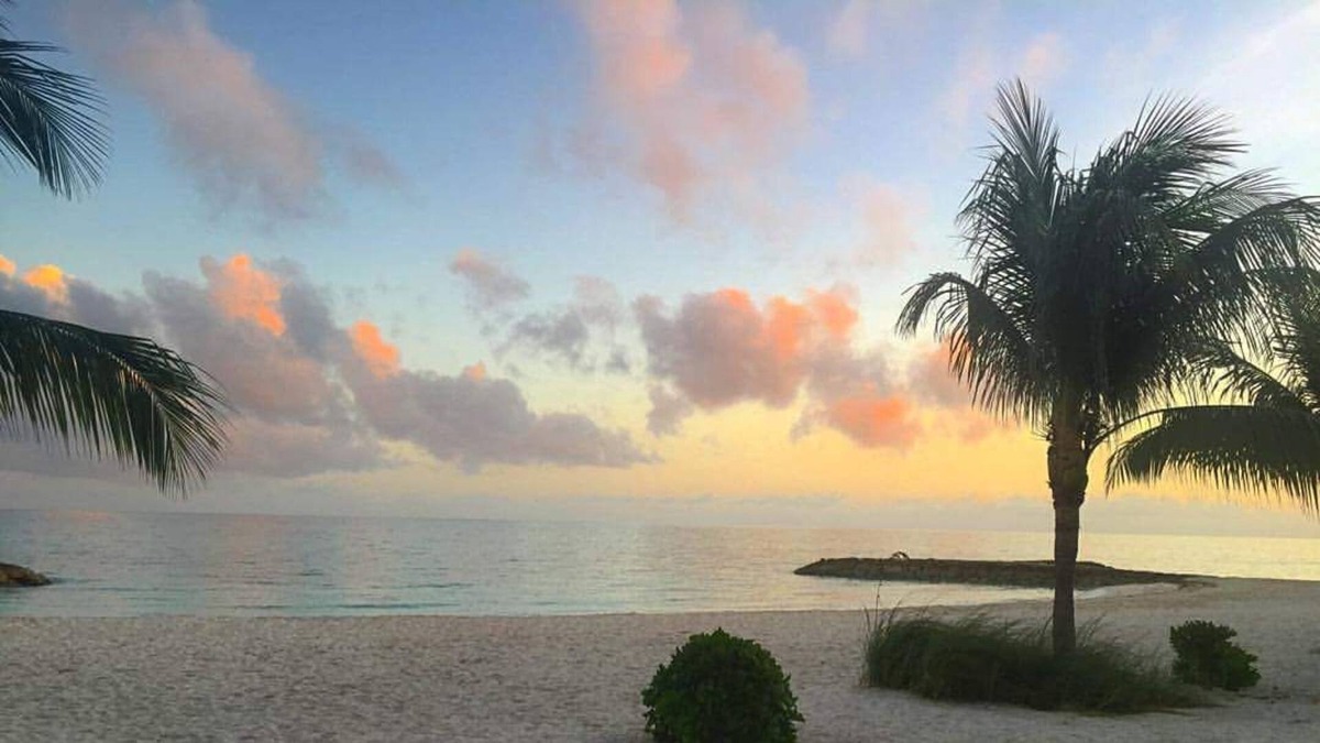 Palm Cay Villa | Beach front Villa , with private pool and beach , grille paddle board !!!!!