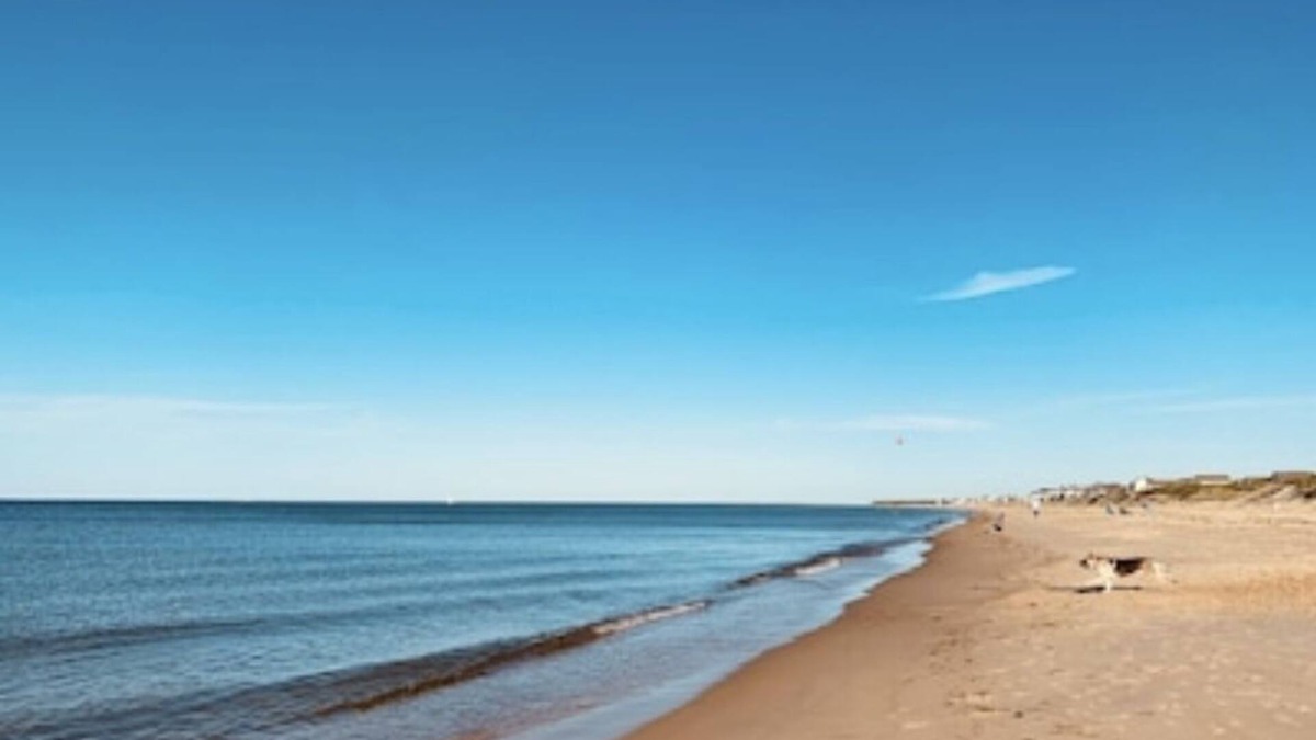 East Ocean View House | Beach house -3 minutes walk to the Beach