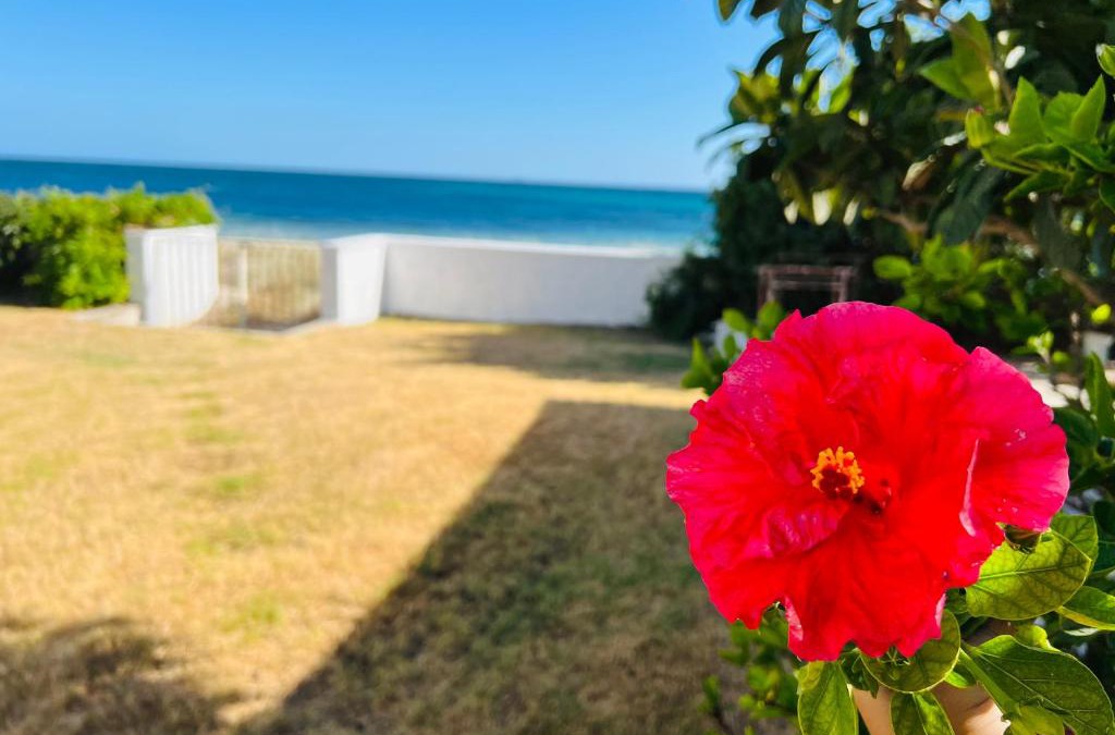 Su Forti House | Beach Loft Poetto