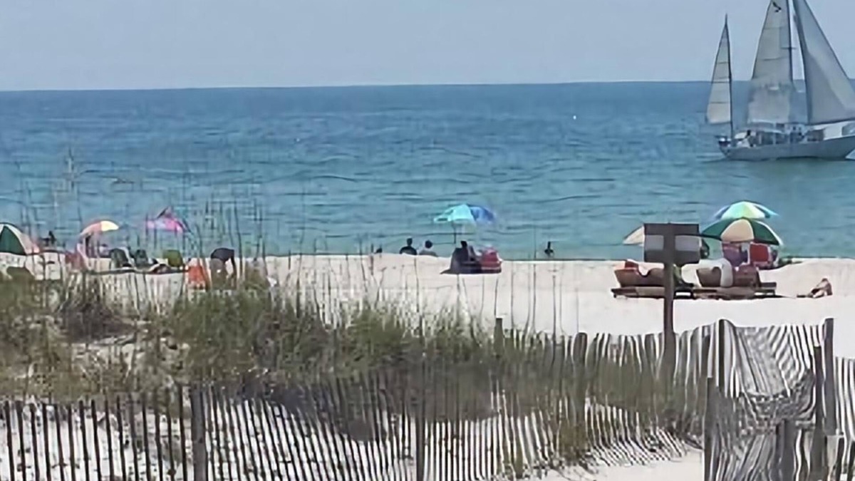 Gulf Shores House | "BEACH MEISTER" We Supply Everything! Free Parking-LOCATION-Fun-Easy & Relaxing!
