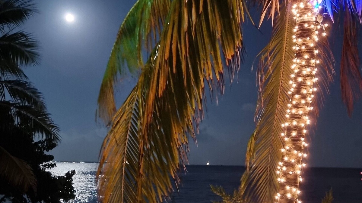Puerto Juarez House | BEACH VILLA SEASIDE SUNRISE HAVEN VIEW 7 BEDROOMS