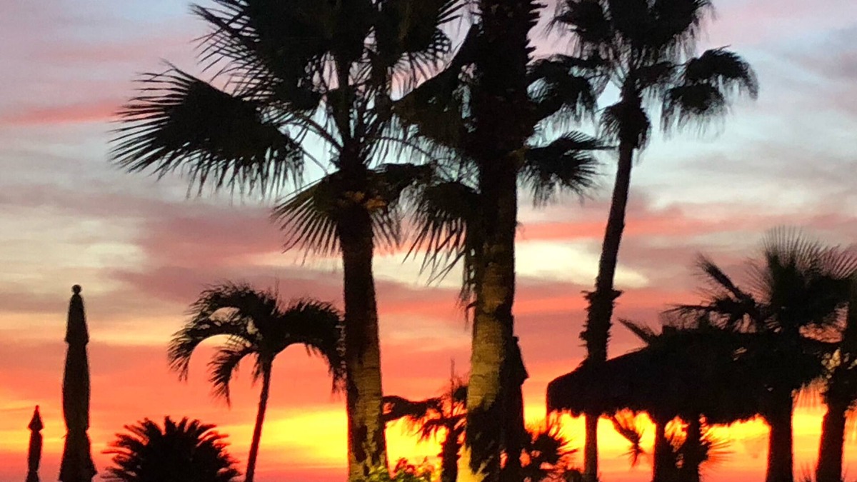 San Jose del Cabo Condo | Beachfront Cabo in San Jose Del Cabo!