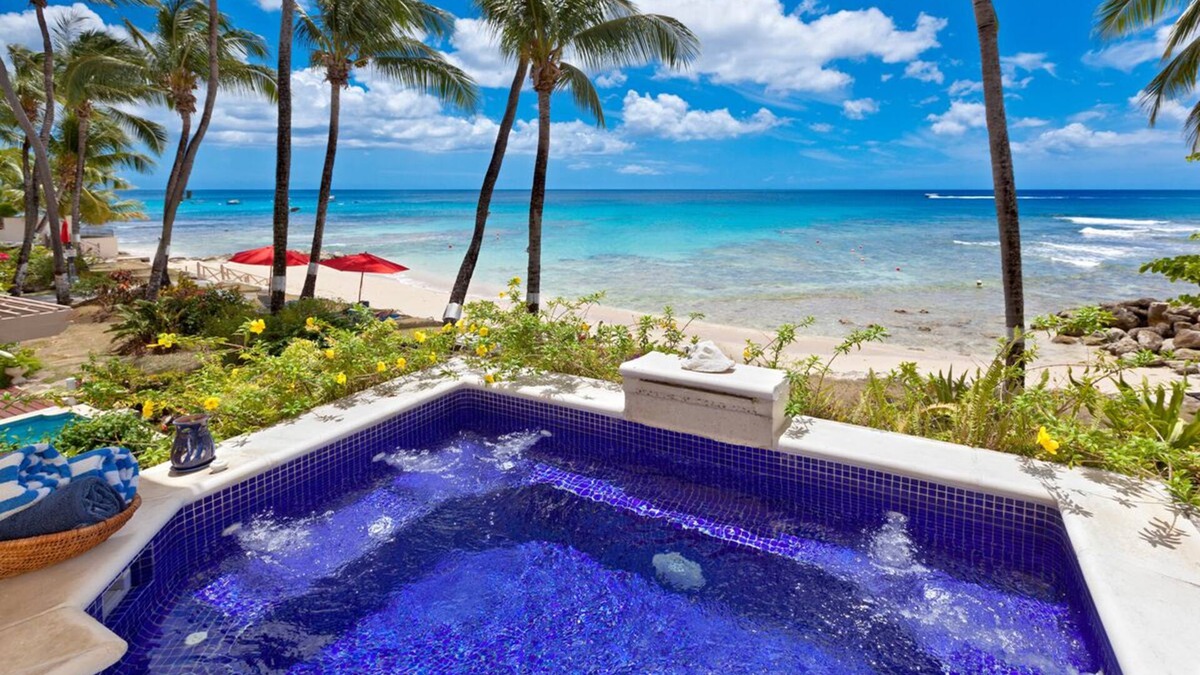Reeds Bay Apartment | Beachfront Condo with Plunge Pool - Reeds House 10