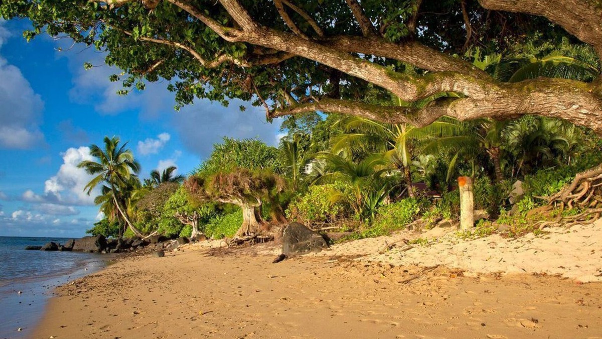 Kilauea Cottage | Beachfront Cottage TVNC#1361