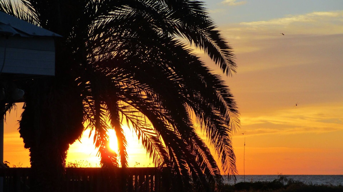 Grand Isle House | Beachfront Cottage With Beautiful Gulf View--Milky Way