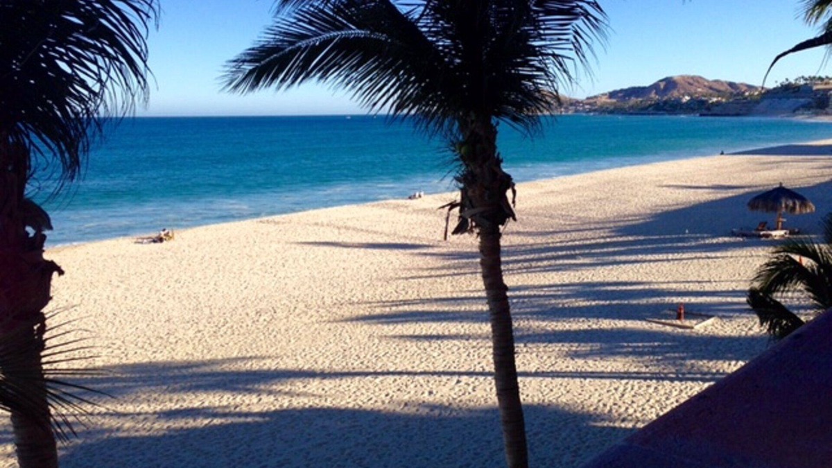 San Jose del Cabo Condo | Beachfront - Designer Decorated Condo With Sweeping Views