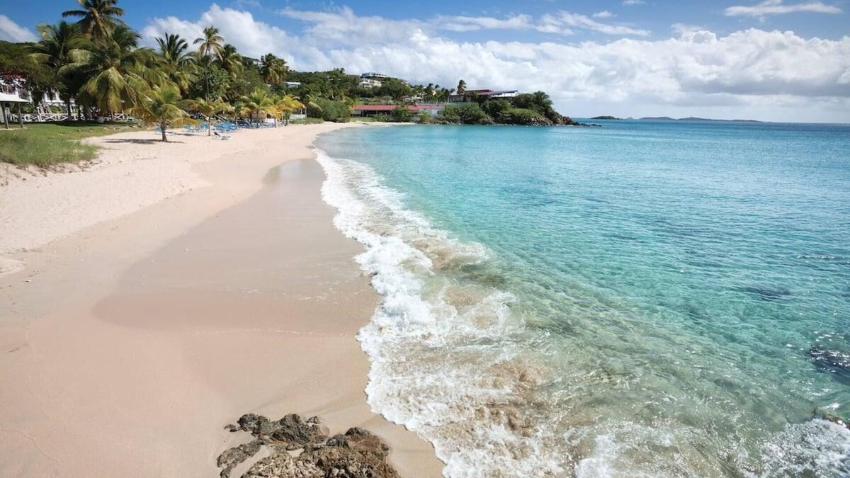Flag Hill Resort | Beachfront LimeTree Resort 1-Bedroom Suite + Amenities