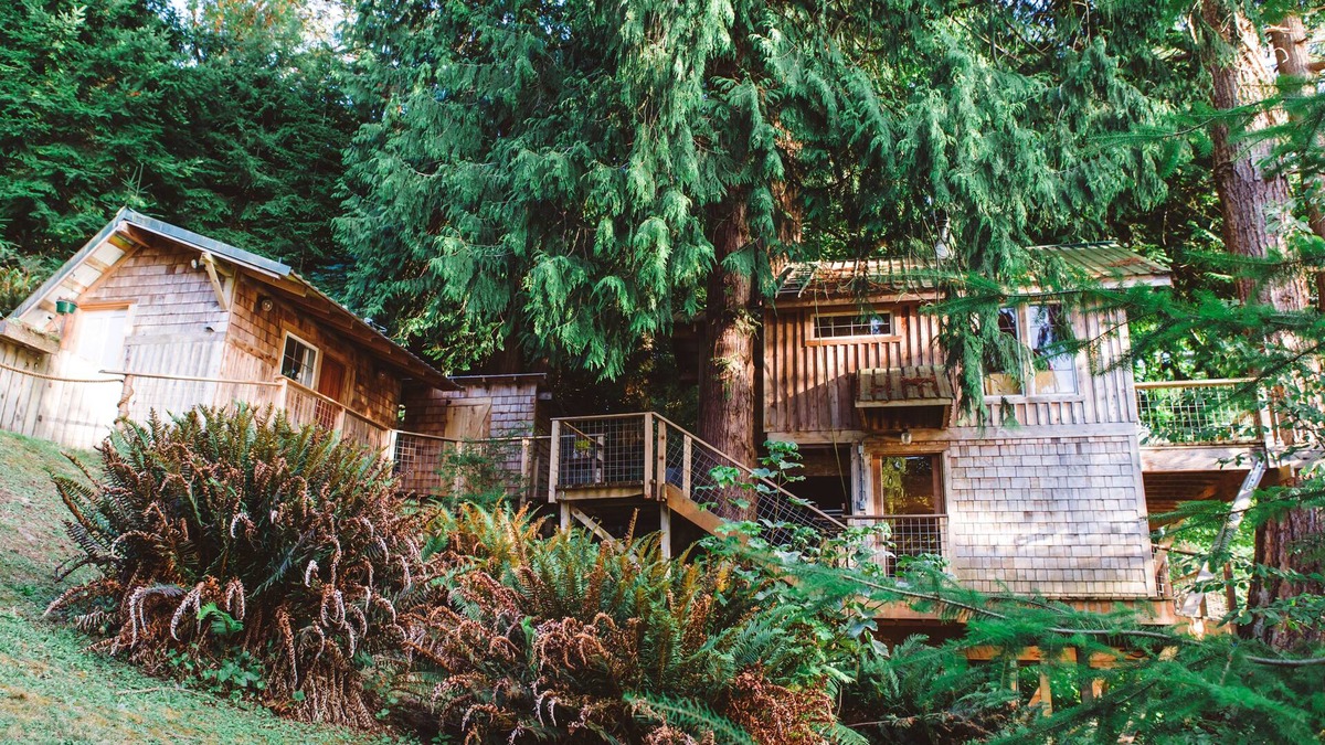 South Colby Cabin | Beachfront Treehouse in the Heart of Puget Sound