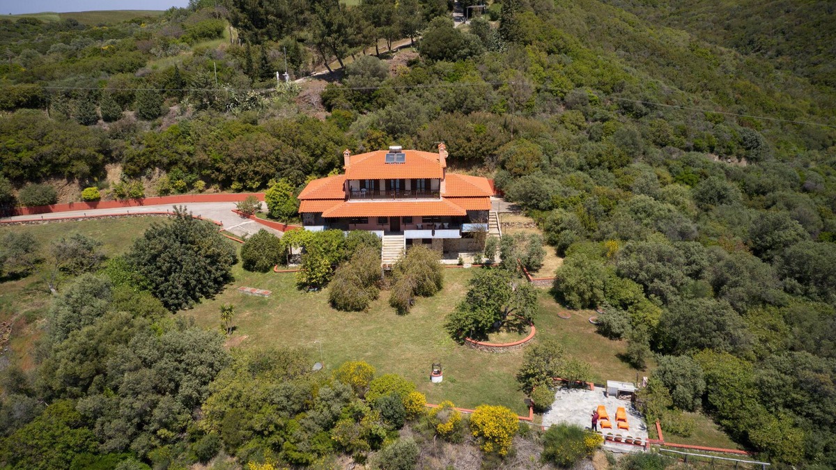 Aristotelis Villa | Beachfront villa with huge garden, 3br, Halkidiki