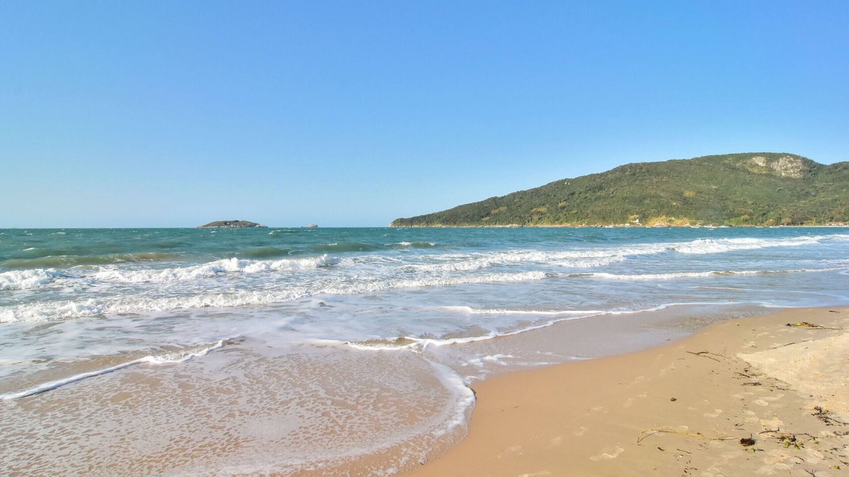 Ingleses Sul House | BeachHouse 5 minutes from the sea in InglesesP1639