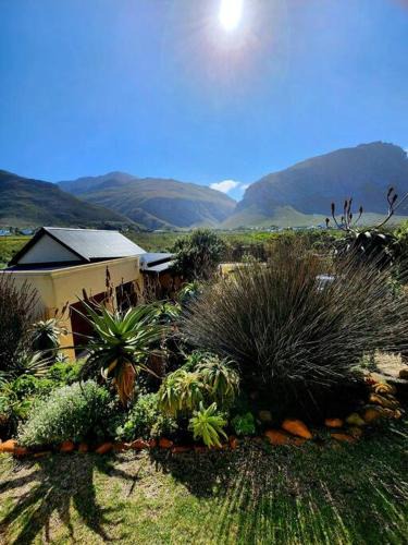 Betty's Bay House | Beachside cottage with breathtaking views
