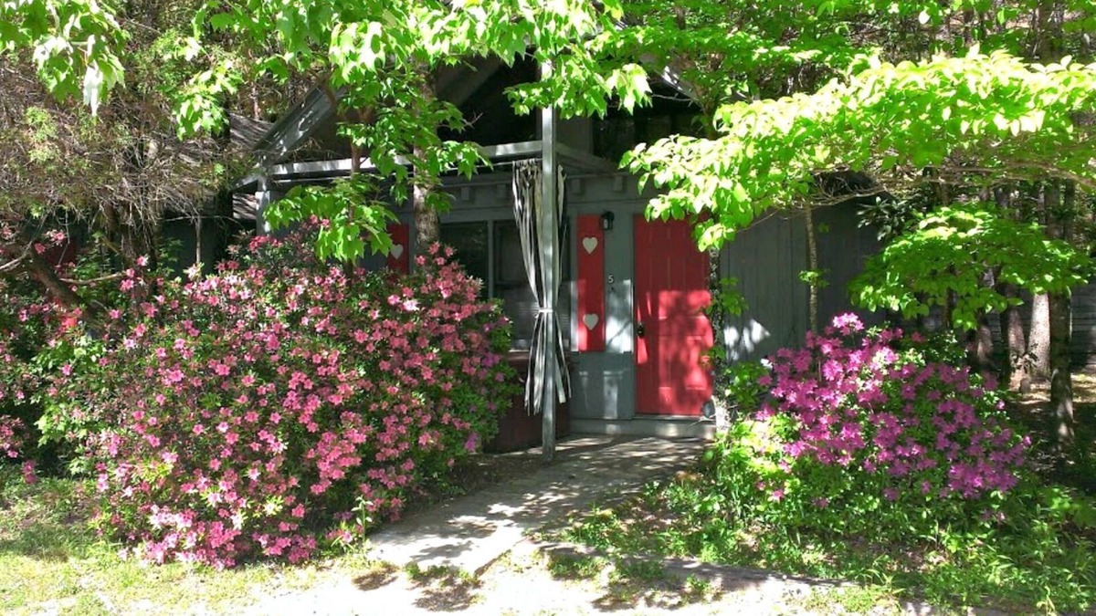 Sautee Nacoochee Cottage | Bear Paw Cottage #6 King ; Hot Tub ;Pet Friendly;2 Adults/2 Children Max