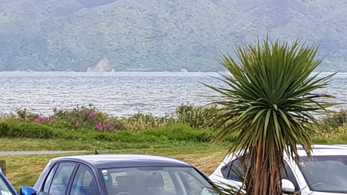 Paraparaumu Beach House | Beaut Beach House - across road from the beach!!!