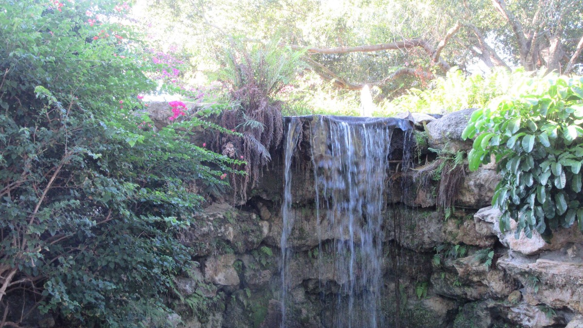 Park Shore Condo | Beautiful 1 Bedroom Condo Close To Everything