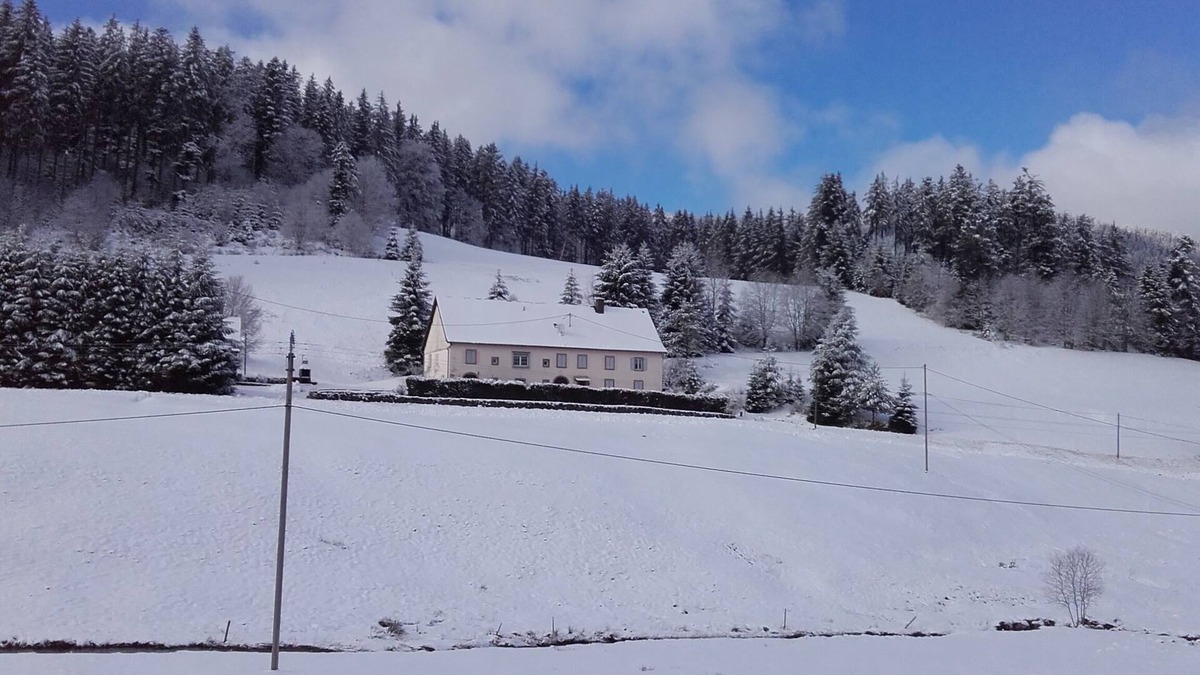 Le Bonhomme Apartment | Beautiful 19th Century farm in the middle of the meadows