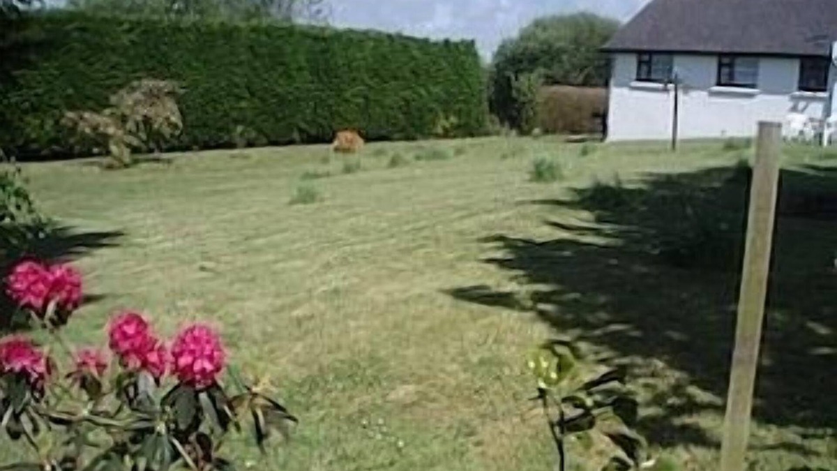 Skibbereen House | Beautiful 3/4 Bedroom Bungalow set in attractive gardens. many local facilities
