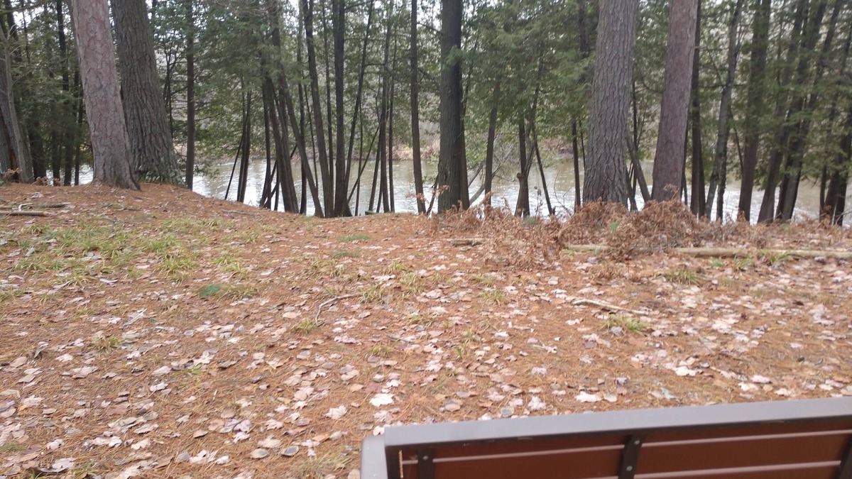 Lupton House | Beautiful 3 bedroom home on Rifle River