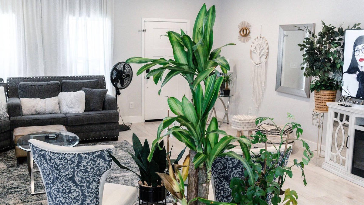 Sacramento House | Beautiful 3BR/2B Midtown Sac, Airport, Golden1 Center