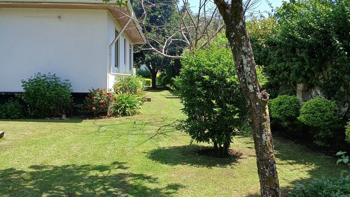 Arusha House | Beautiful 5-bedroom house in Arusha City Centre in a quite residential area.