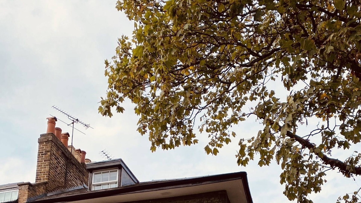 Canonbury House | Beautiful 5-bedroom townhouse