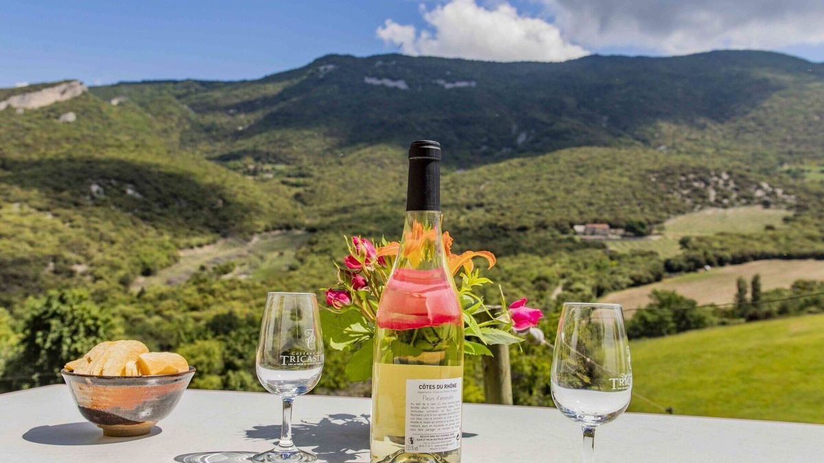 Roche-Saint-Secret Villa | Beautiful apartment in villa with WIFI, TV, patio, pets allowed, panoramic view and parking