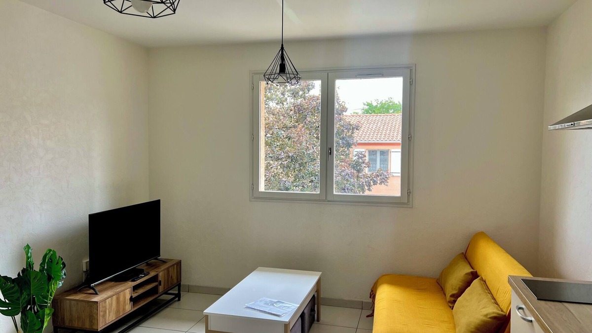 Albi Apartment | Beautiful air-conditioned apartment near the center