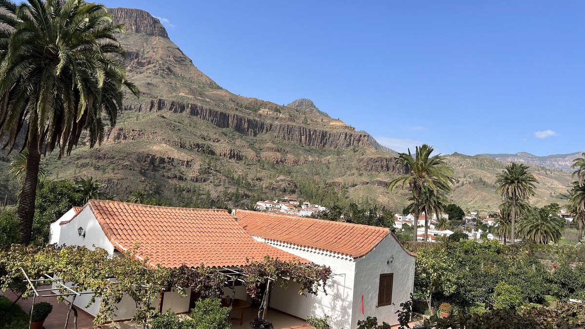 San Bartolome de Tirajana House | Beautiful and Quiet House Between Palms With Fruit Field