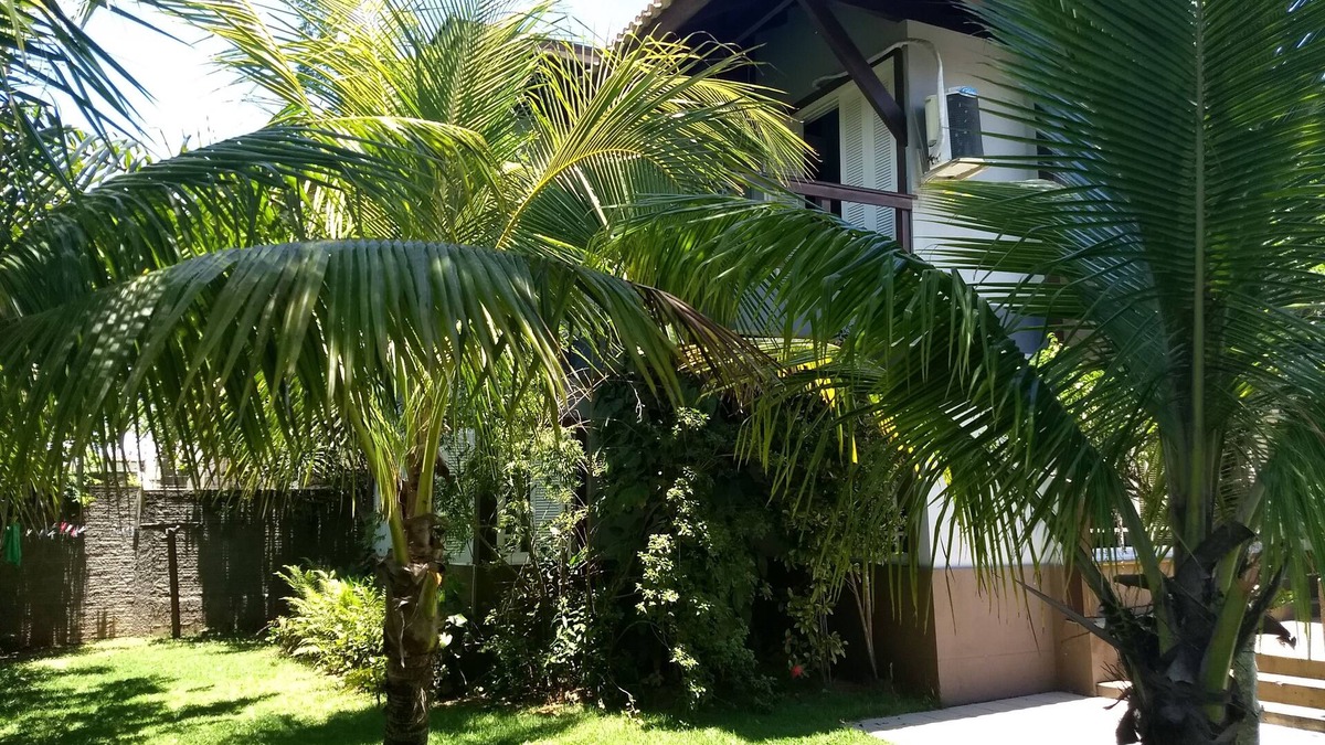 Rio Tavares House | Beautiful and wooded house near the beach