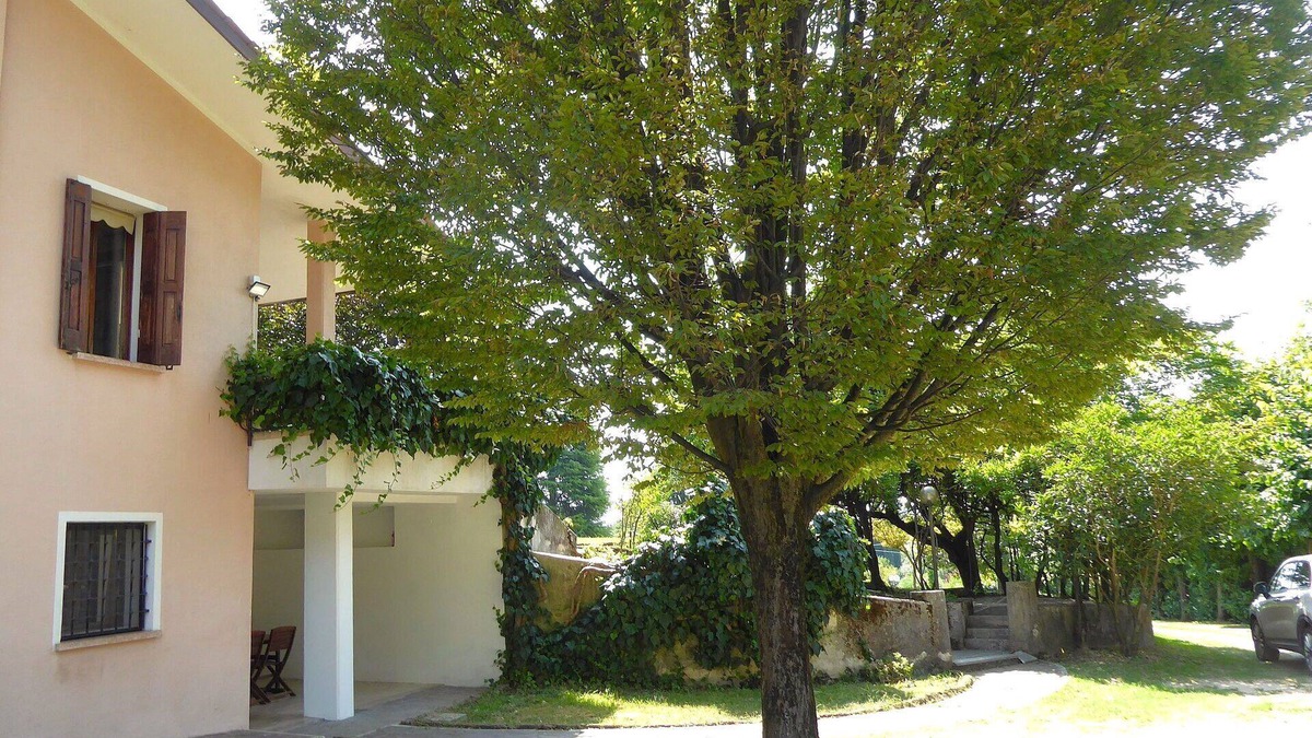 Borso del Grappa Apartment | Beautiful apartment for 6 guests with A/C, WIFI and patio