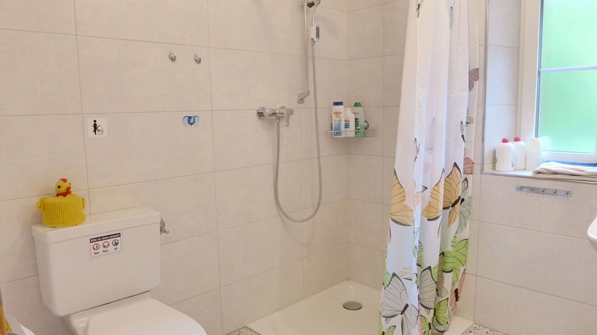 Brienzwiler Apartment | Beautiful apartment for 5 people with WIFI, TV, terrace, pets allowed and panoramic view