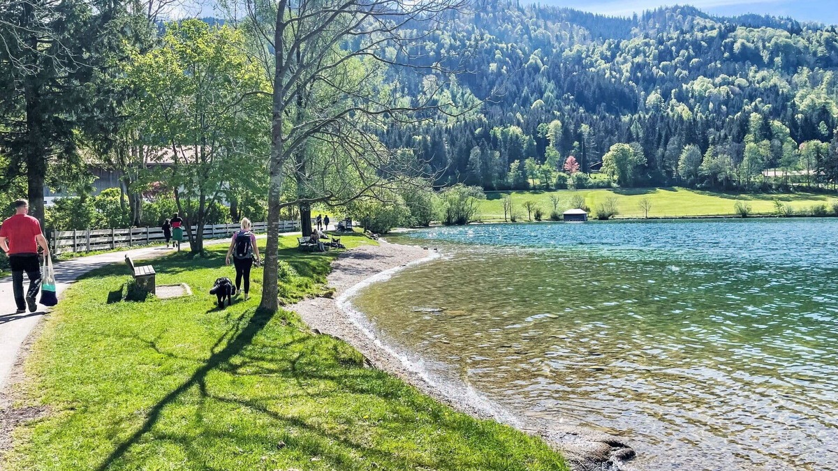Schliersee House | Beautiful apartment in villa for 5 people with A/C, TV, terrace and pets allowed