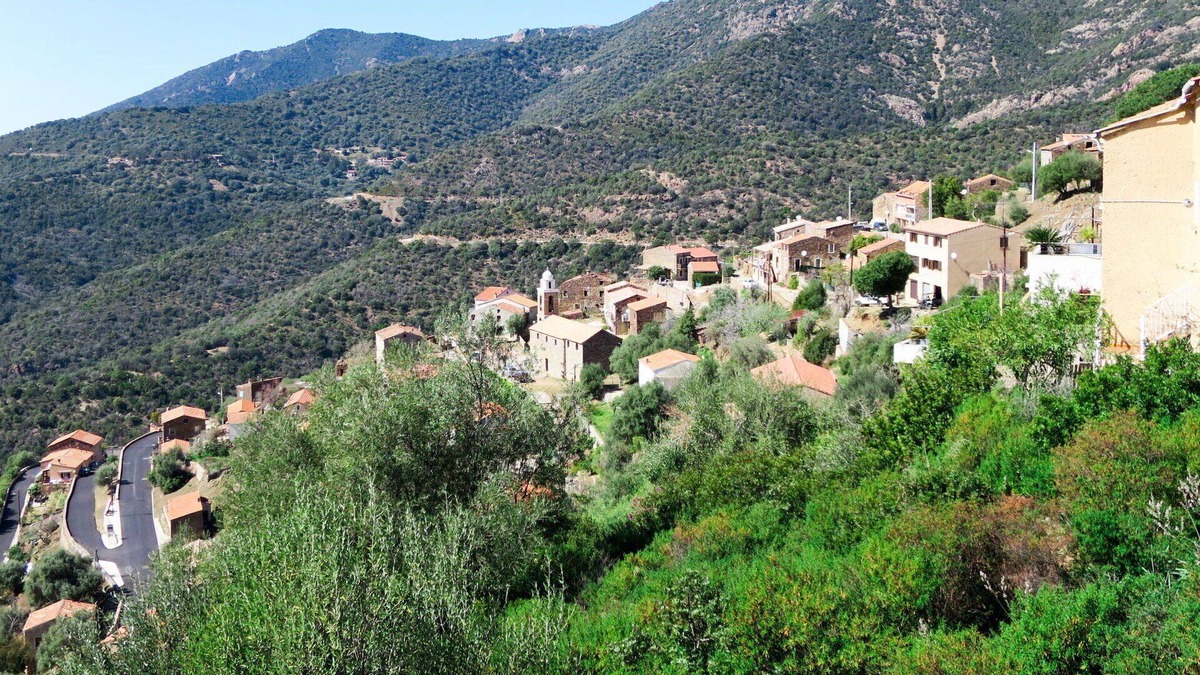 Partinello Apartment | Beautiful apartment for 3 guests with A/C, WIFI, TV, patio, pets allowed, panoramic view and par.