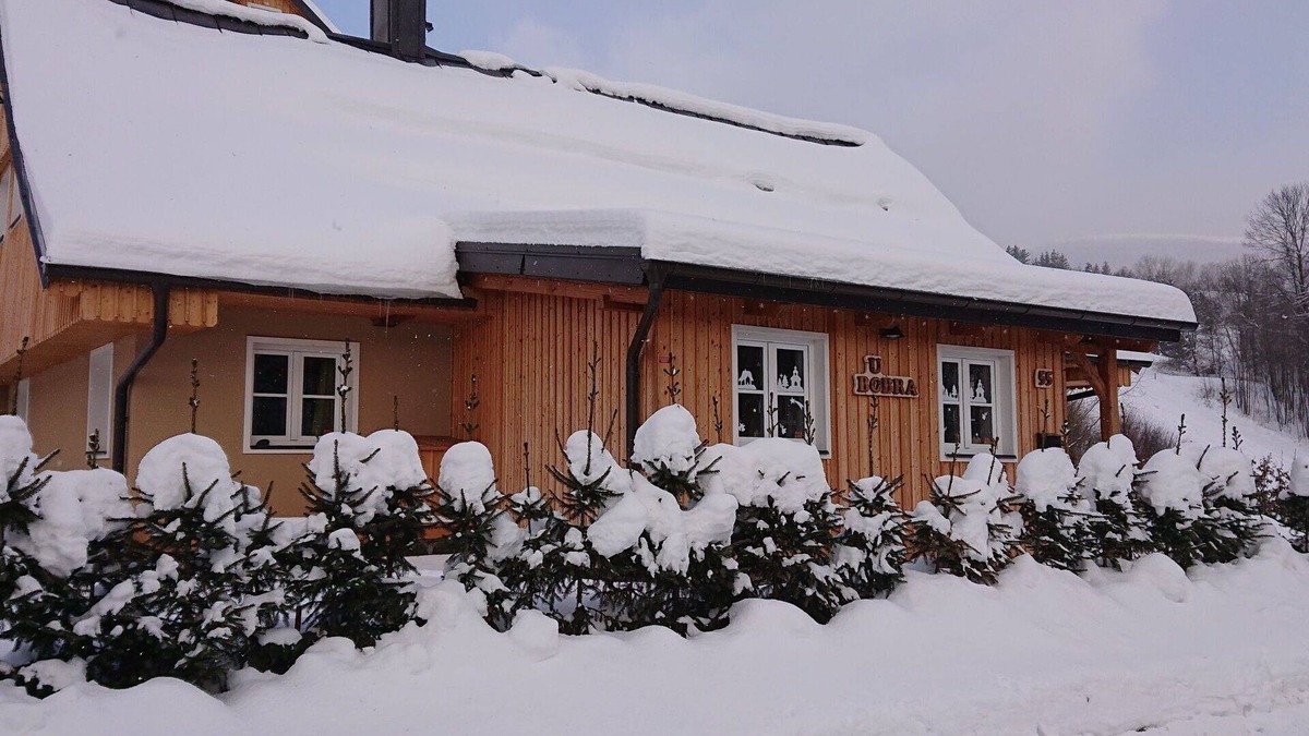 Rokytnice nad Jizerou Villa | Beautiful apartment in villa for 12 guests with WIFI, TV, patio, pets allowed and panoramic view