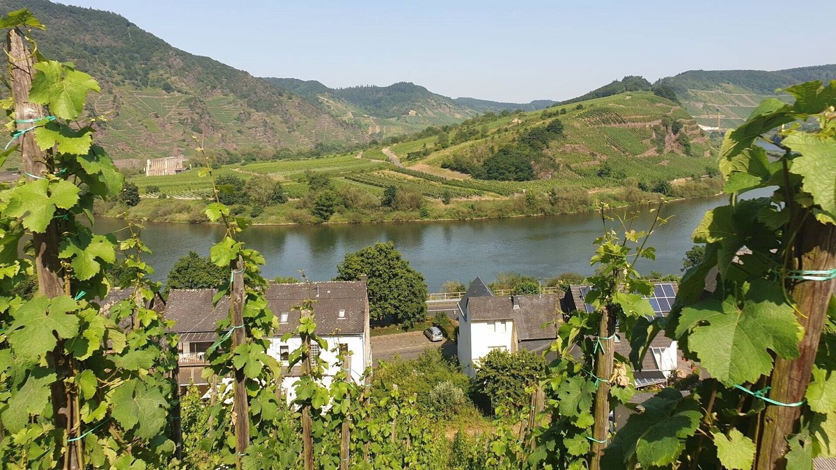 Ediger House | Beautiful apartment in villa for 4 people with WIFI, TV, pets allowed and parking