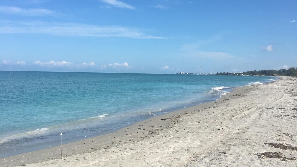 Siesta Key Condo | Beautiful Bay Tree Club Siesta Key Condo Bay to Beach