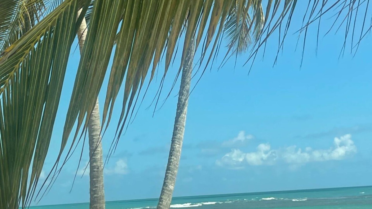La Pared House | Beautiful Beach and El Yunque views! Perfect located, newly updated condo!