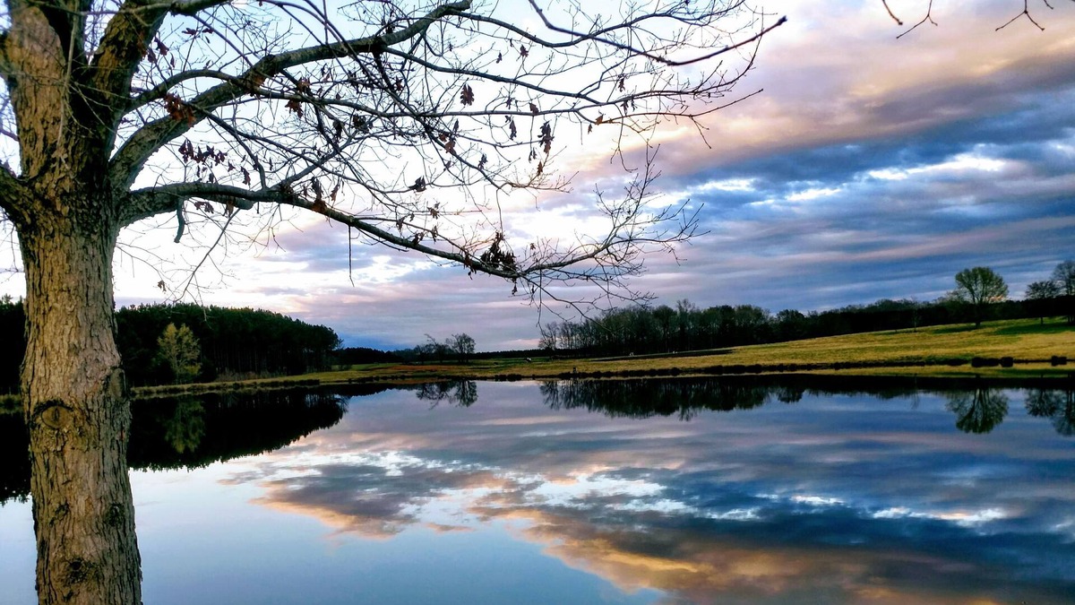 Edgefield Cabin | Beautiful Cabin with scenic views for Corporate Events & Family Vacations