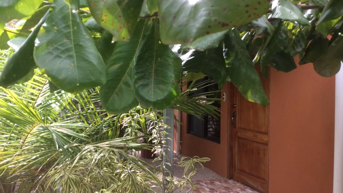Belen de Nosarita Apartment | Beautiful casita "La Felicidad" near Samara