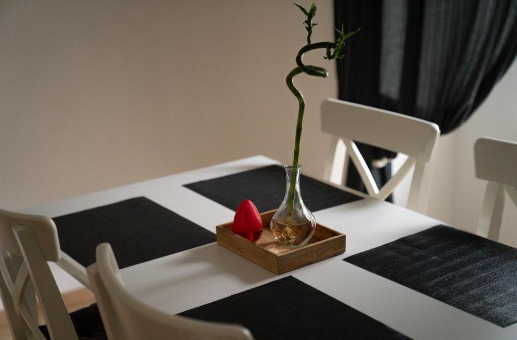 Klosterneuburg Apartment | Beautiful Central City Apartment - 2BR, WIFI, Netflix & PS4