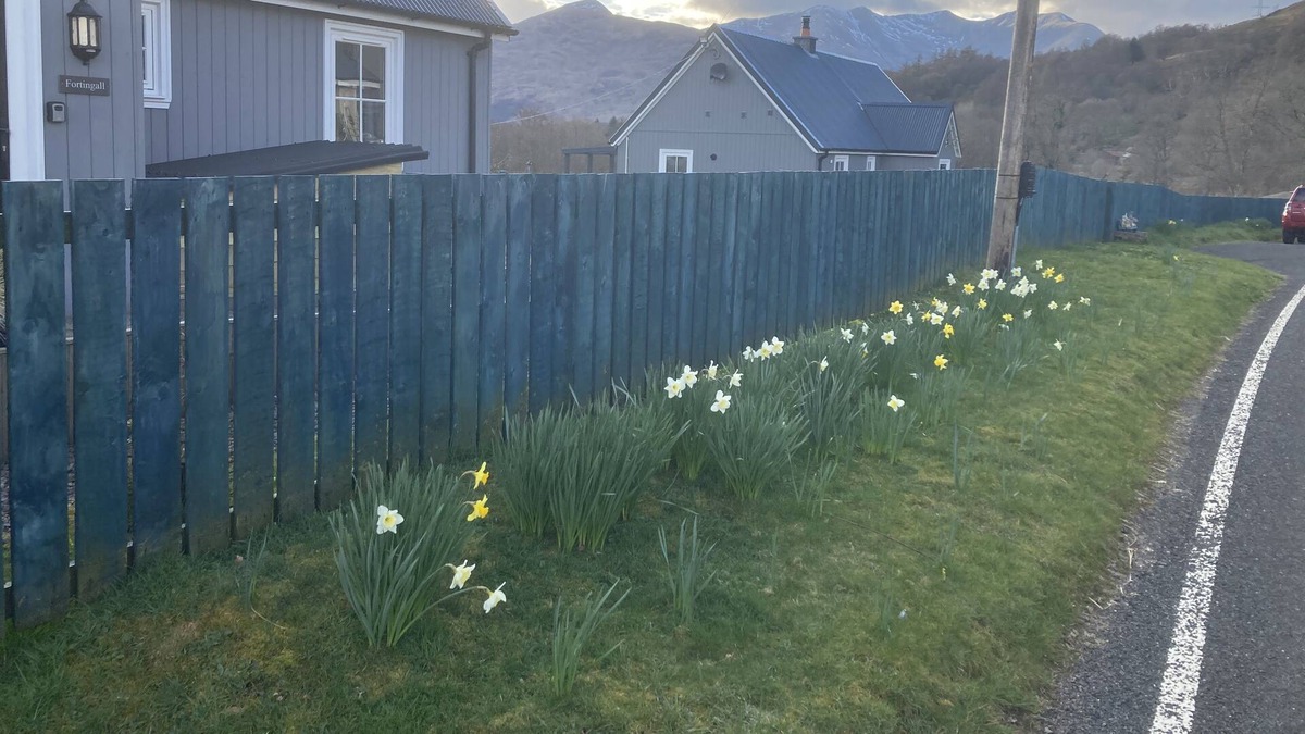 Stronmilchan Cottage | Beautiful Cosy Highland Argyll Home Log Burner Mountain and River Views