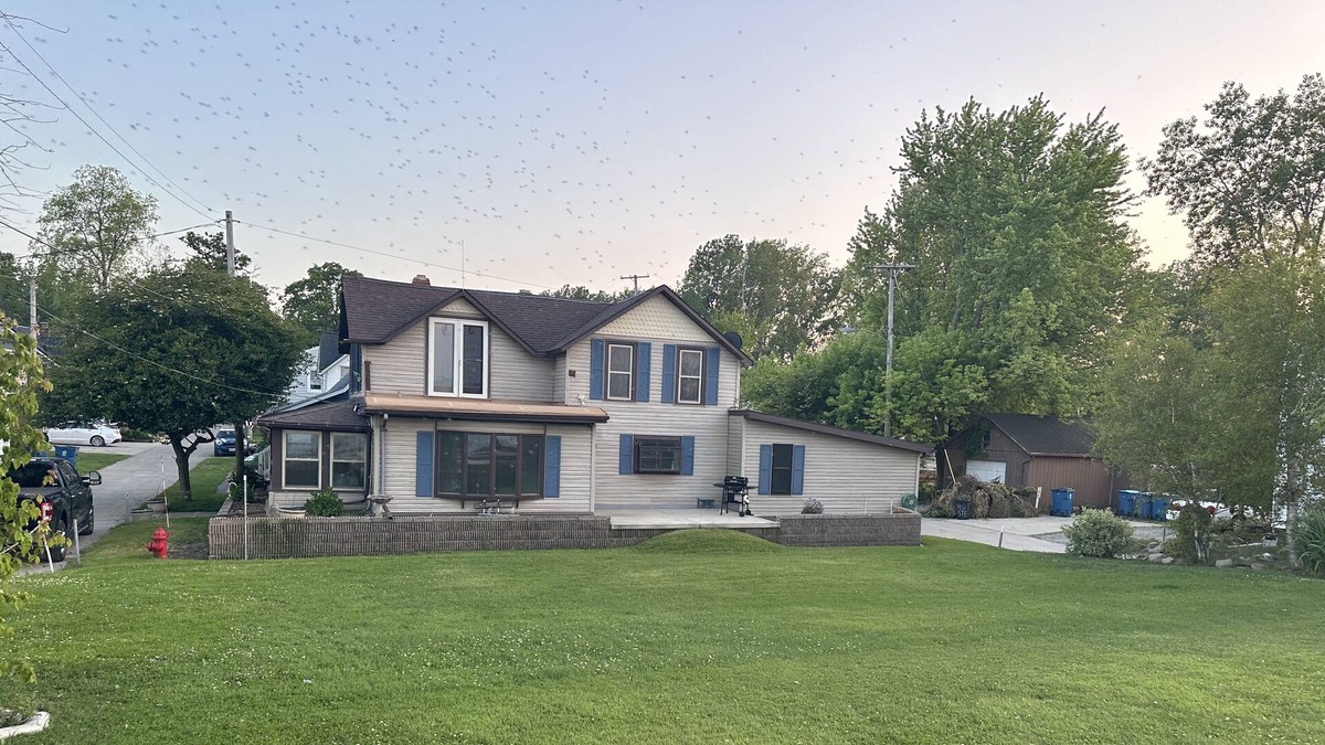Huron Cottage | Beautiful Cottage in the Shadow of Cedar Point