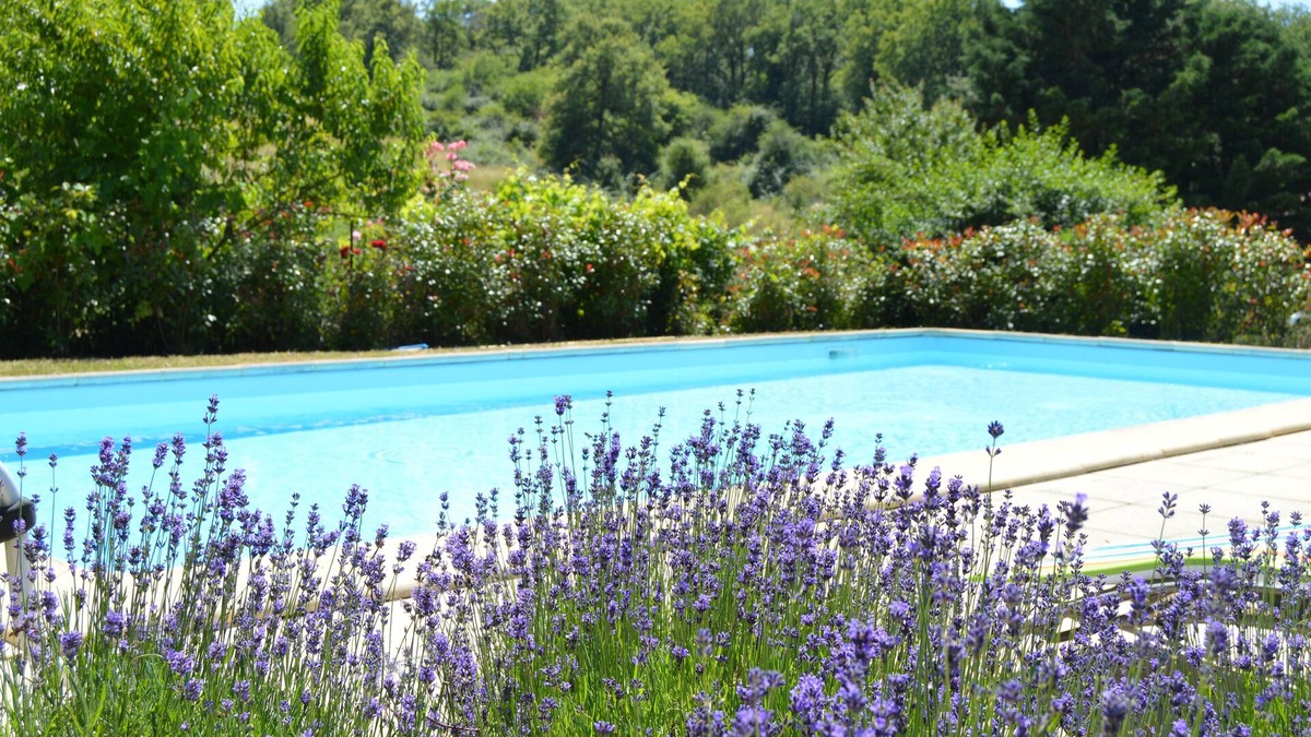 Nadaillac House | Beautiful cottage near Sarlat at the crossroads of Lot and Corrèze