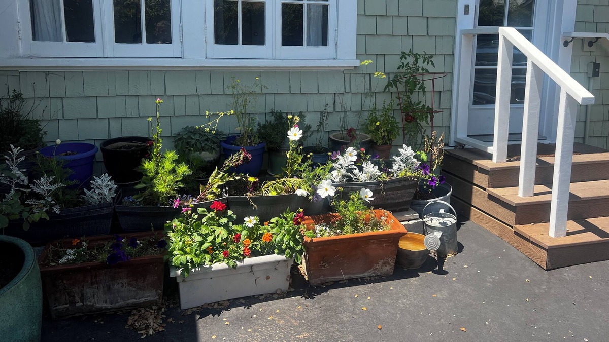 Oak Park Cottage | Beautiful Downtown Fully Furnished Executive Cottage