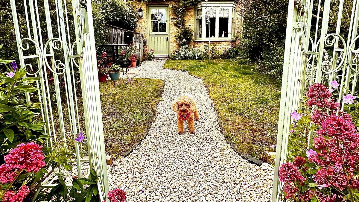 Bourton Cottage | Beautiful cotswold home sleeps 5 parking central beautiful gardens pet friendly