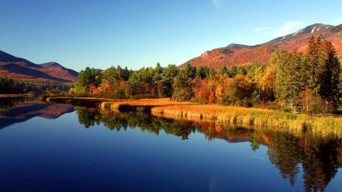 North Creek House | BEAUTIFUL HOME CLOSE TO GORE MOUNTAIN!