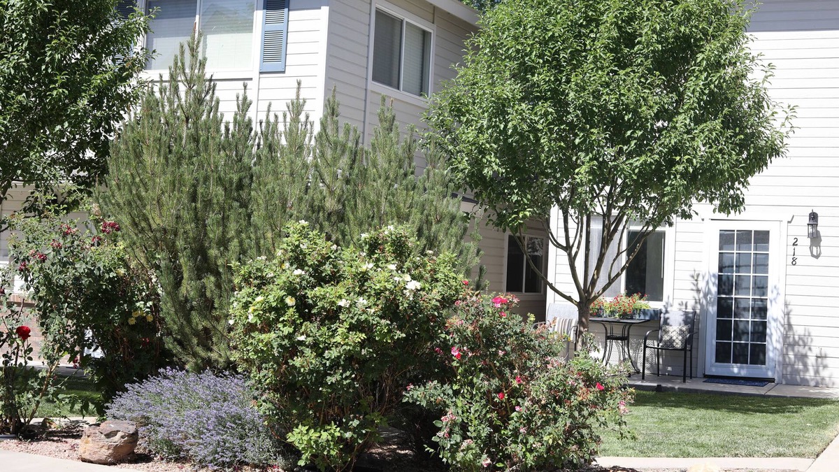 Cortez House | Beautiful home in historic downtown Cortez, Colorado.(18)