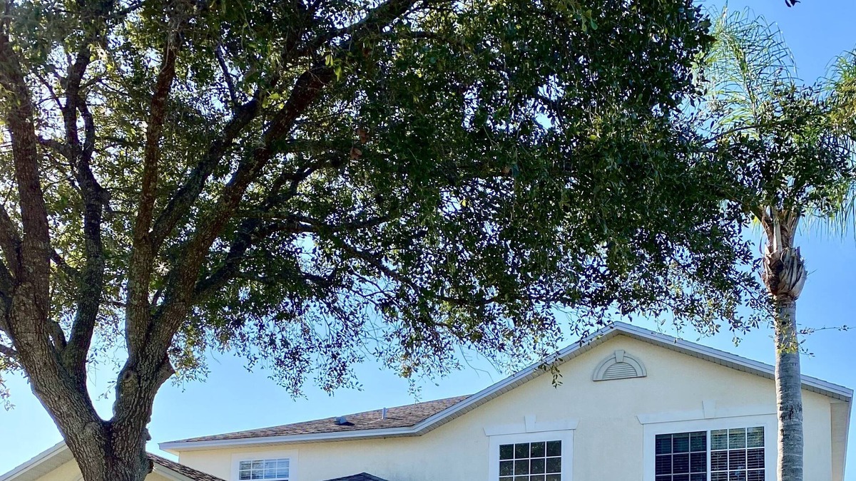 Highgate Park House | Beautiful home in secure gated community, private south facing pool and spa.